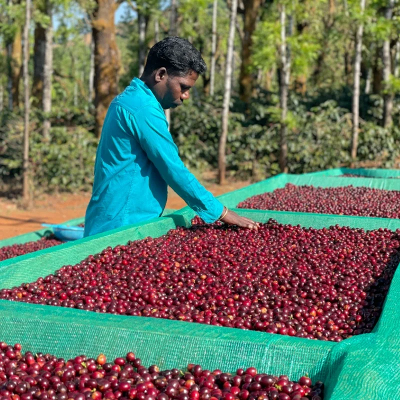 Gundikhan Natural Lot 15 & 57