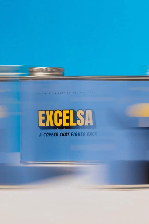 Excelsa